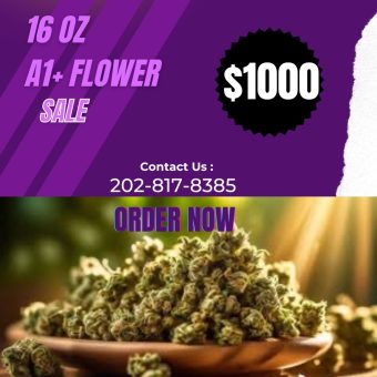 16 0Z A1+ FLOWER SALE